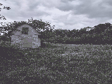 thumb_13731_img18d282f6fd471be21b04cf51f2f0fc79v.jpg