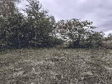 thumb_13731_img71c0cfeb8f4e61271fdaf306a49022cbv.jpg