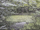thumb_13731_img8a339a807364c075e4ac9c3160a44116v.jpg