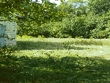 thumb_13731_img9ac936e4930e7cb9125e3552d0680d91v.jpg