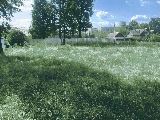 thumb_13737_1000045609.jpg