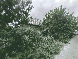 thumb_13740_1000021293.jpg