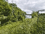 thumb_13741_1000021035.jpg