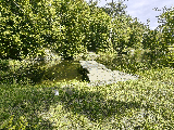 thumb_13741_1000021044.jpg