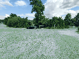 thumb_13741_1000021074.jpg