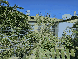 thumb_13747_1000046371.jpg