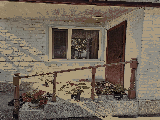 thumb_13747_1000046376.jpg