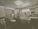 thumb_13747_1000046394.jpg