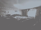 thumb_13747_1000046395.jpg