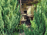 thumb_13748_1000024135.jpg