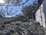 thumb_13751_img060caf4e038e0a4223d770212bdd96a5v.jpg