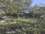 thumb_13751_img476440fc3bca47b0adff6686b0ead923v.jpg