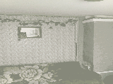 thumb_13759_1000010391.jpg