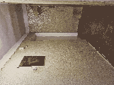 thumb_13761_1000047511.jpg