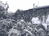 thumb_13762_1000025164.jpg