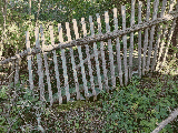 thumb_13763_00205ec77417645ff7fa8c76ed3992dc01bbe3603e4554a556a325a4310ec212d2d188a7106ed0eb18f6a.jpg