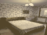 thumb_13771_img7657.jpg