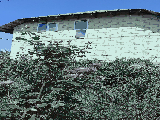 thumb_13777_img7753.jpg