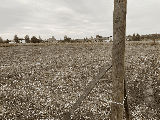 thumb_13779_img7756.jpg