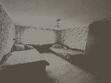 thumb_13791_img7852.jpg