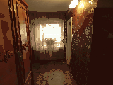 thumb_13795_img7872.jpg