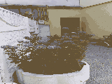 thumb_13795_img7873.jpg