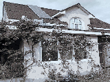 thumb_13798_5.jpg