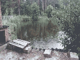 thumb_13822_img8225.jpg