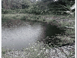thumb_13822_img8226.jpg
