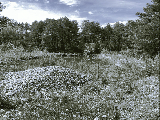 thumb_13822_img8227.jpg