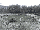 thumb_13822_img8228.jpg