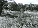 thumb_13822_img8230.jpg