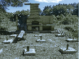 thumb_13822_img8231.jpg