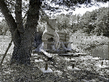 thumb_13822_img8232.jpg