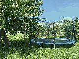 thumb_13832_img8429.jpg