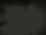 thumb_13834_imgb4335980e4cecff5e7b30e6a10116908v.jpg
