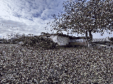 thumb_13836_1000050493.jpg