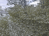 thumb_13839_img8528.jpg