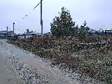 thumb_13840_00205a3fef3473ff55a49f698cbe5fbfd4a2ae95fa92fd7341ee81c6379783b470ee6f540c64ab1755da8.jpg