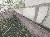 thumb_13841_00205b7b1785c6d70fac2f2db133a631dba24669d4df0f85d657ca5448b6bda2014f0ac60badcf89d7eea.jpg