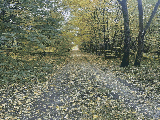 thumb_13842_1000050738.jpg