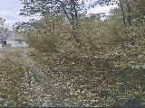 thumb_13842_1000050739.jpg