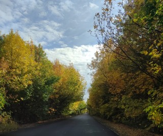 Фото 2